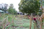 DSC 0277