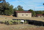 Spineless Cactus Patch and Horse Barn