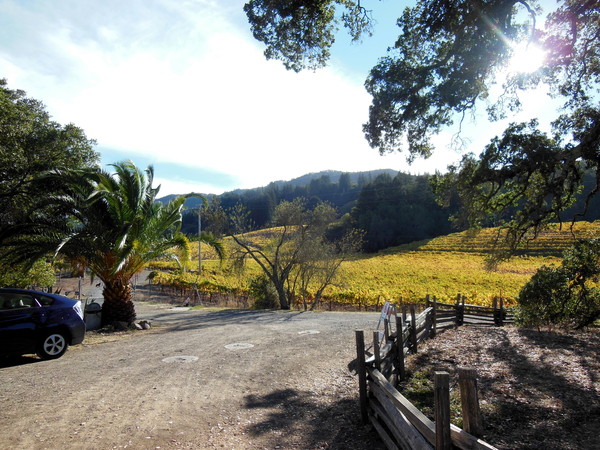 Vineyard and Gardens