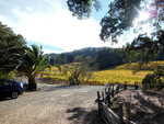 Vineyard and Gardens