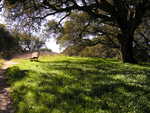 Helen Putnam Park hike